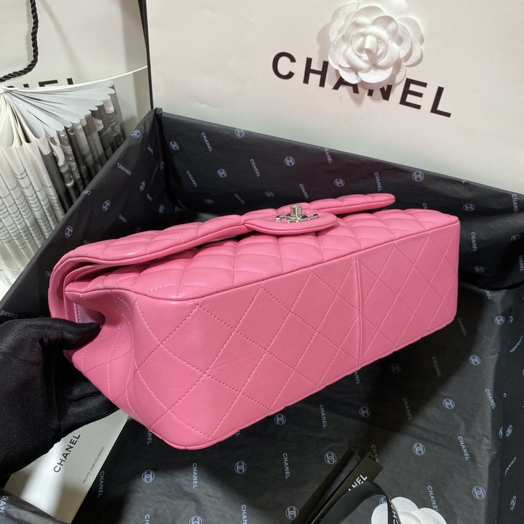 CHLLarge Classic Handbag Silver Hardware PiNike For Women Handbags, Shoulder Bags 11.8in/30cm