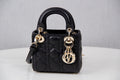 BLUSH BAGZ - Dior Bags - 234