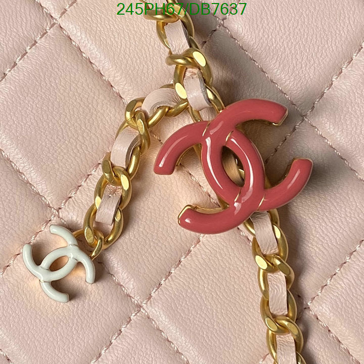 SAMC - CHL Bags - 009