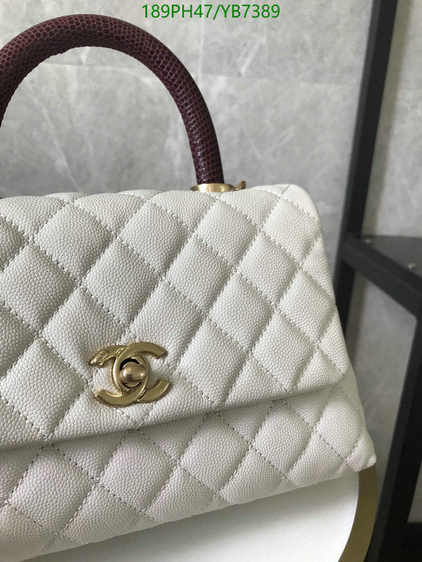 SAMC - CHL Bags - 744