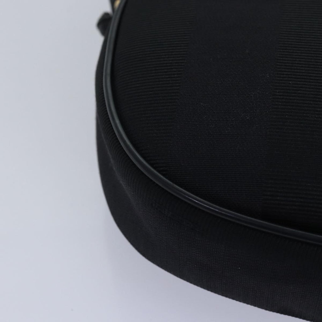 FENDI Pecan Canvas Shoulder Bag Black bs15112