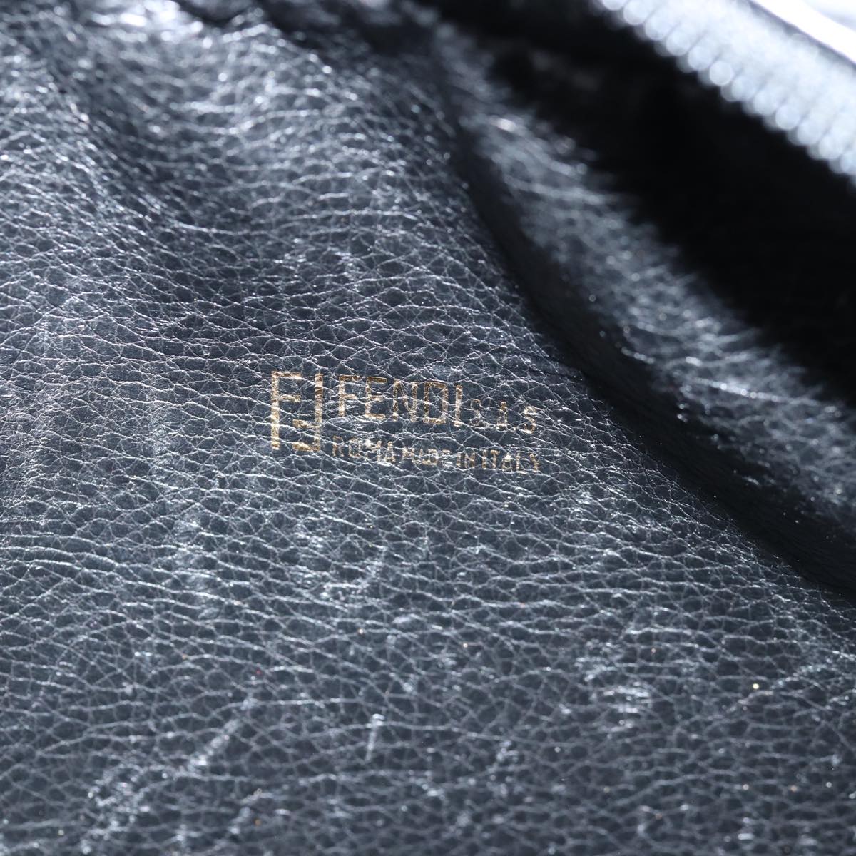 FENDI Pecan Canvas Shoulder Bag Black bs15112