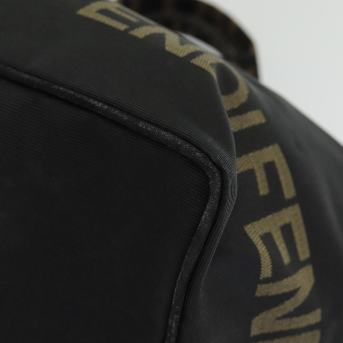FENDI Hand Bag Nylon Black Silver bs16743