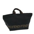 FENDI Hand Bag Nylon Black Silver bs16743