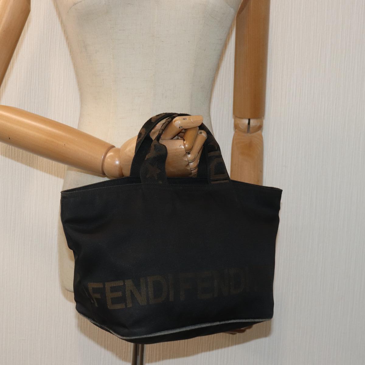 FENDI Hand Bag Nylon Black bs16802
