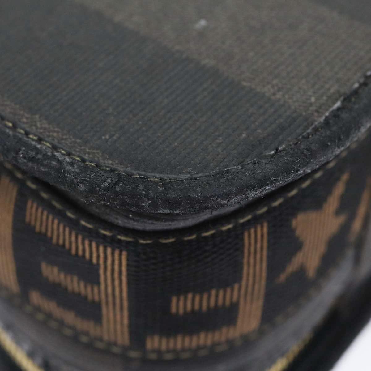 FENDI Pecan Canvas Hand Bag Brown Black gold bs17879
