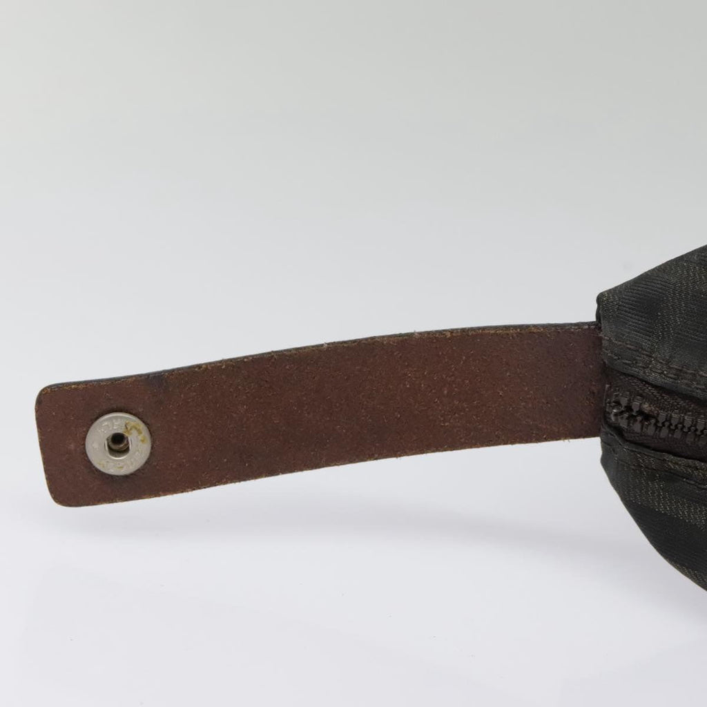 FENDI Zucca Canvas Hand Bag Brown Black bs18438