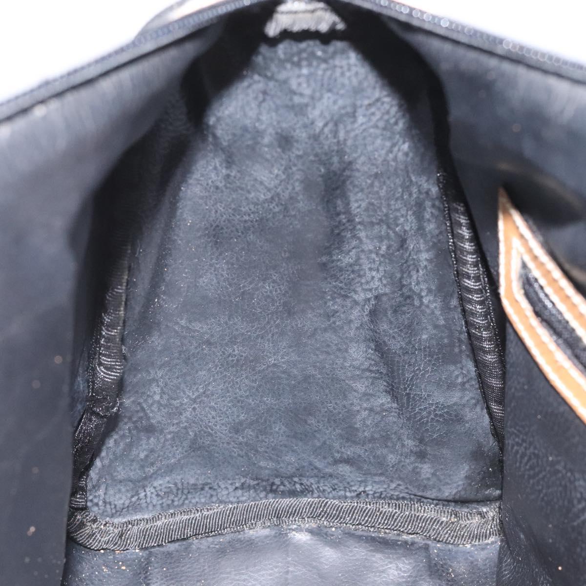 FENDI Pecan Canvas Hand Bag Brown Black bs22633