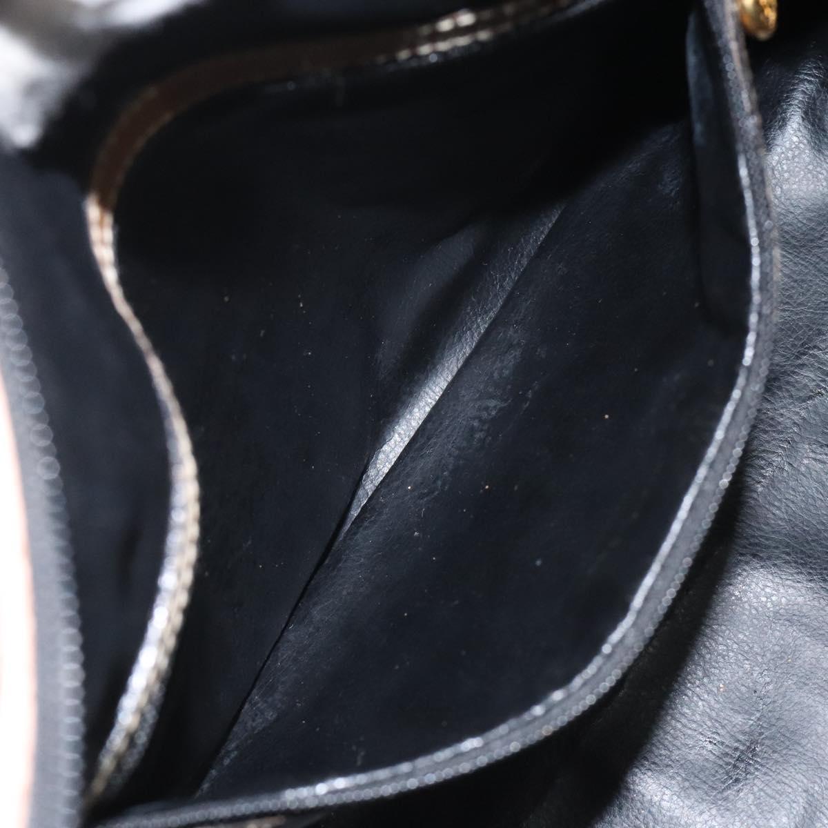 FENDI Pecan Canvas Hand Bag Brown Black bs22633