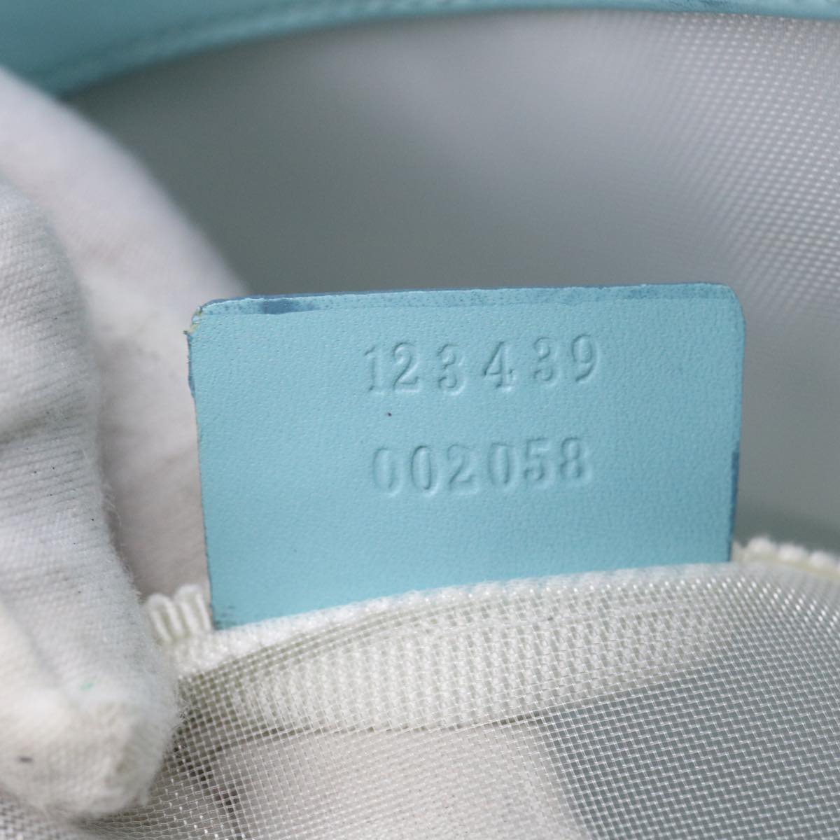 GUCCI Tote Bag Canvas Light Blue 123439 bs6465