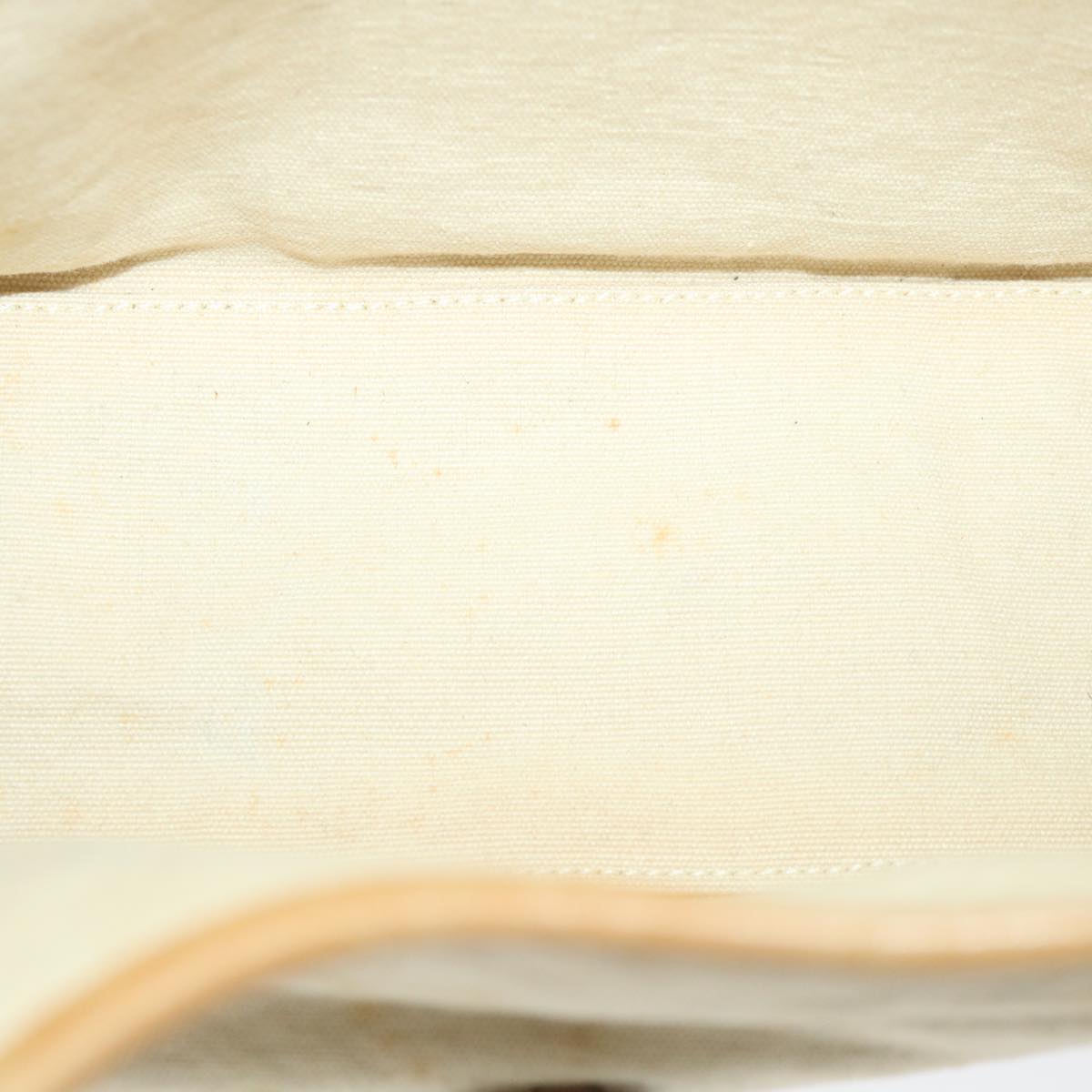 GUCCI Jackie Shoulder Bag Canvas Beige bs9990