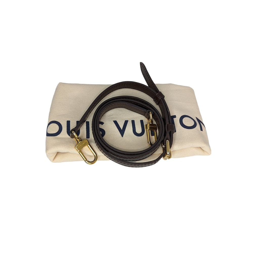 Louis Vuitton Damier Ebene Siena PM Bag