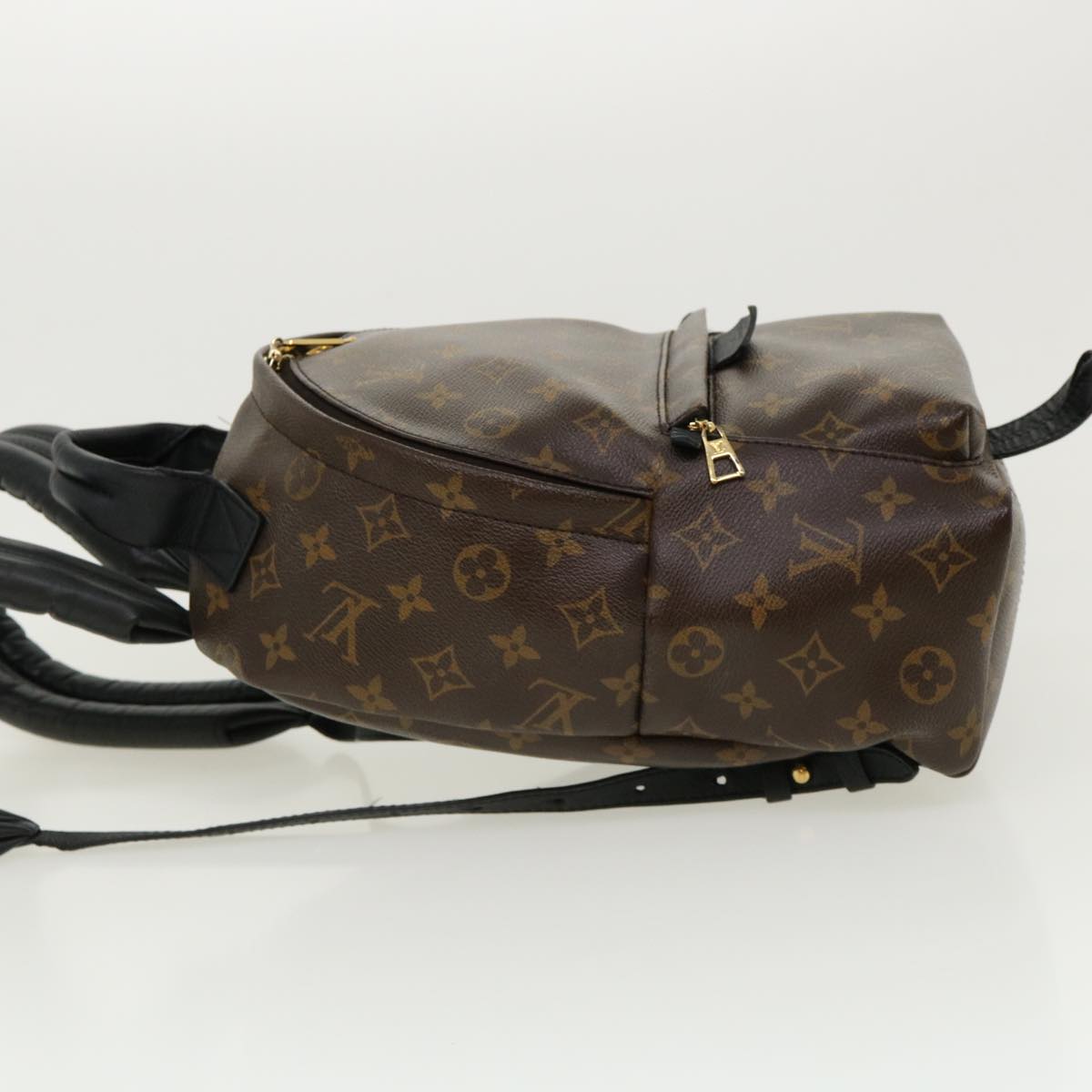 Louis Vuitton Monogram Palm Springs Pm Backpack