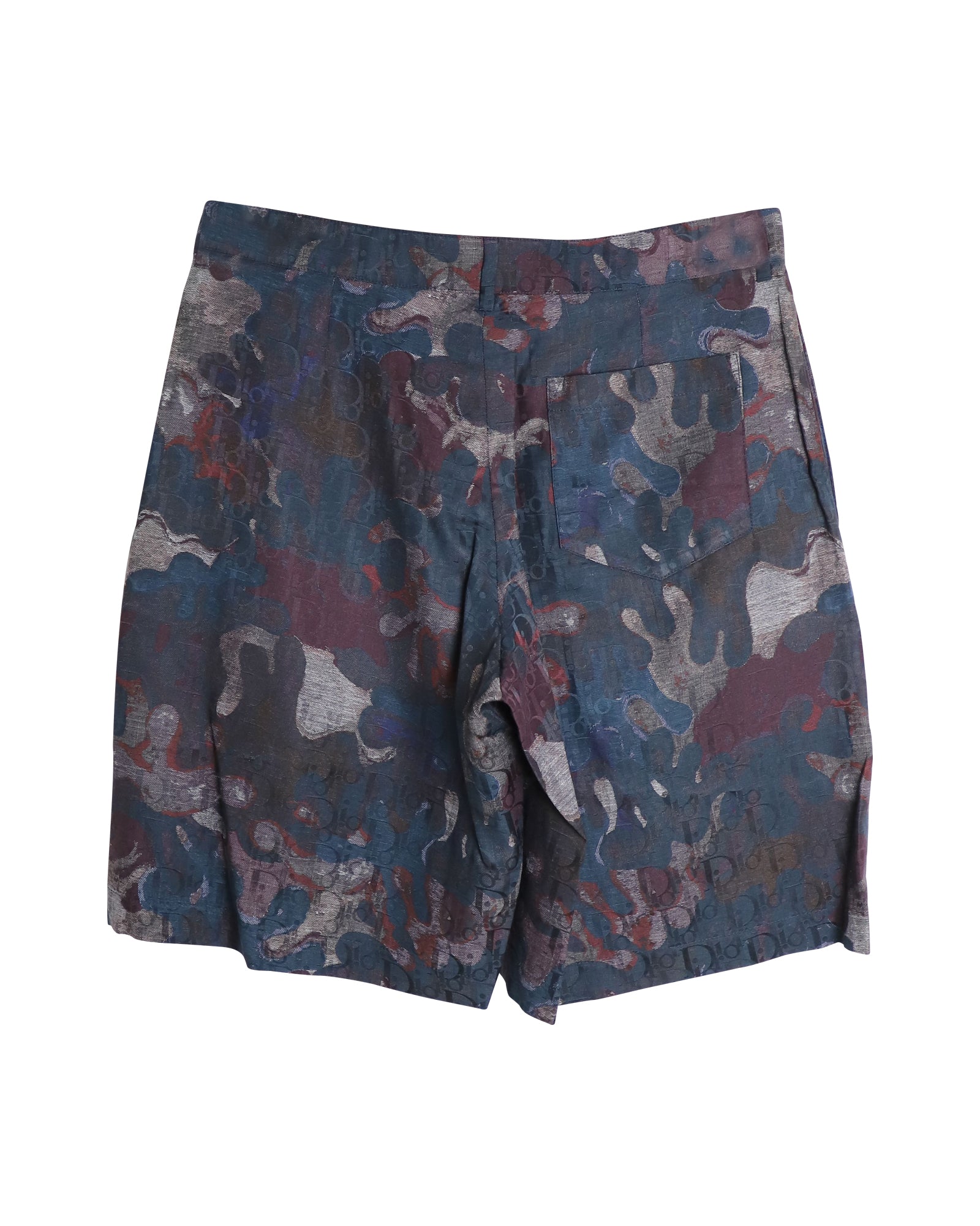 Dior x Peter Doig Oblique Camo Shorts in Multicolor Silk