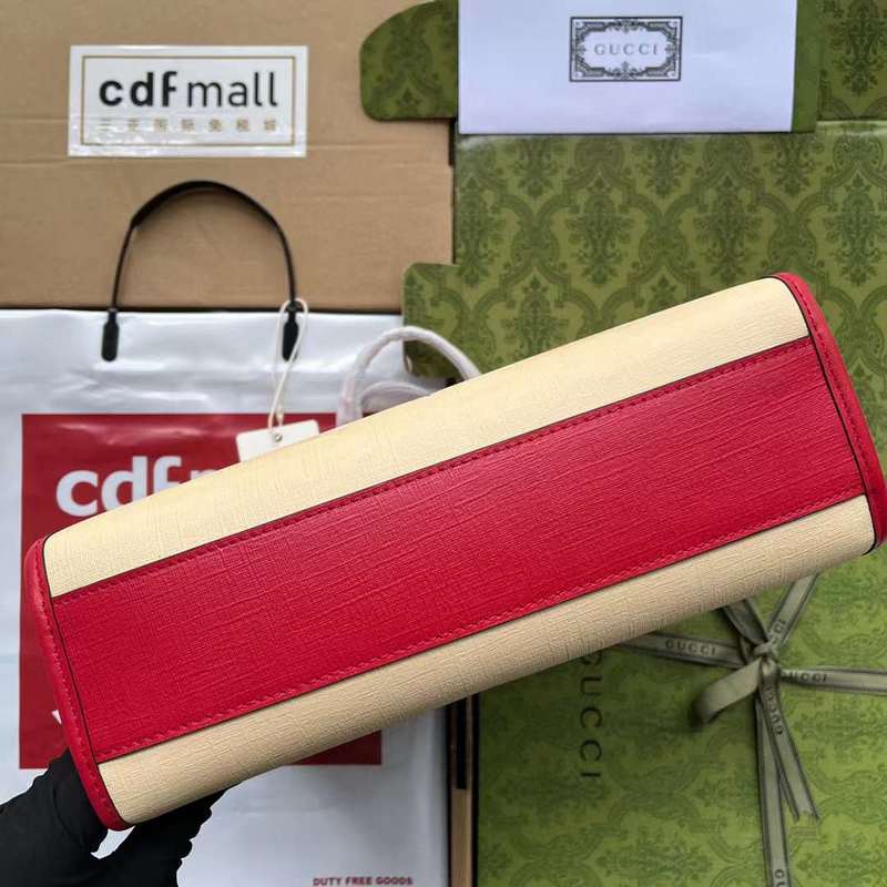 GUI2 Bags - Luxurious Bags  350