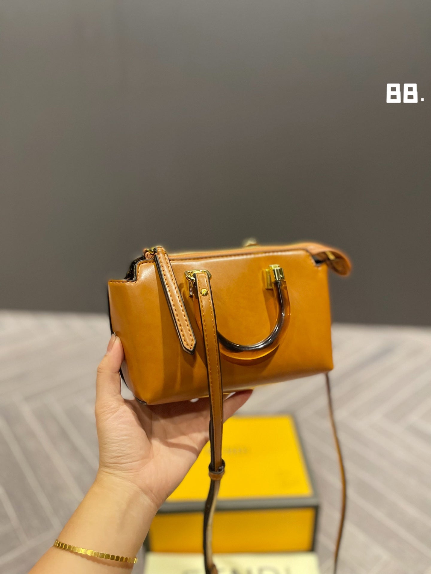 EN - New Lux Bags FEI 270