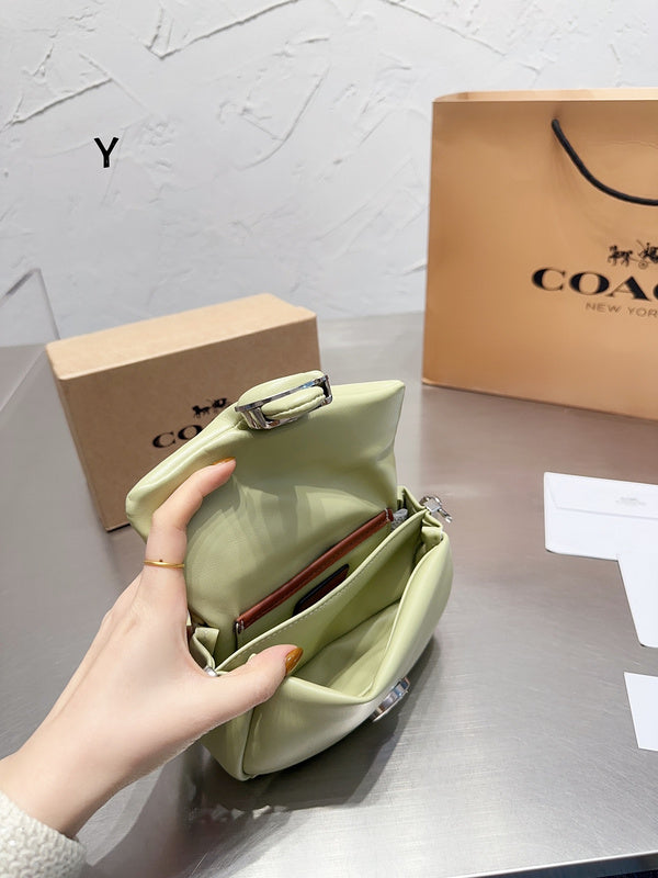 Satchel Bags - CCH Bags - 277
