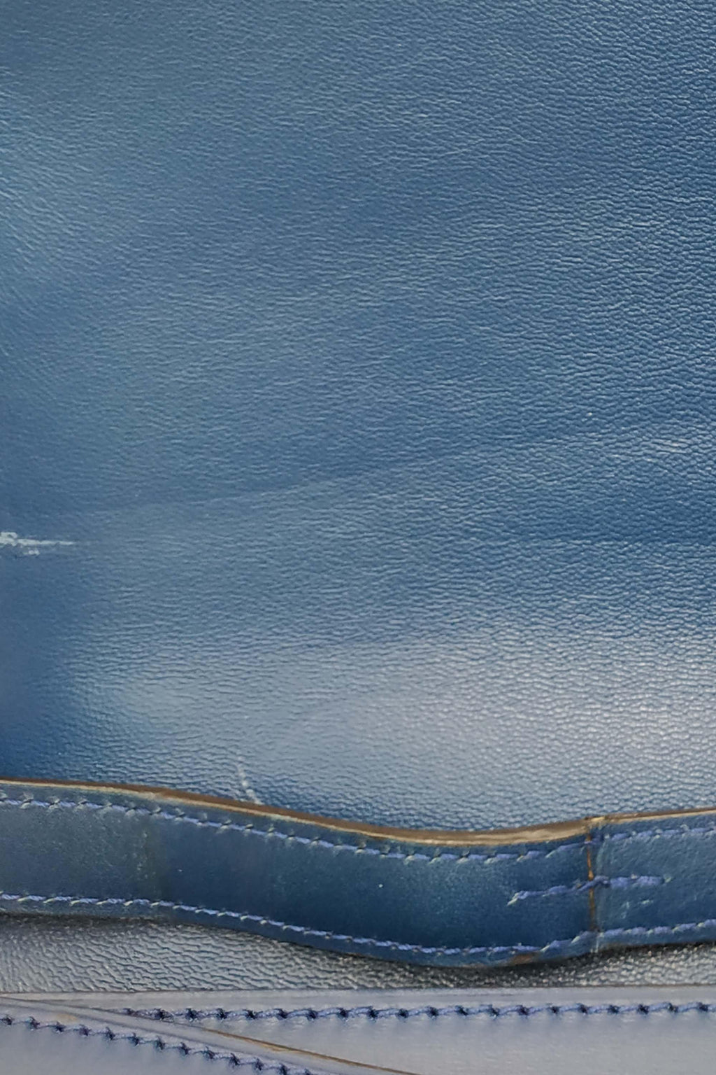 Medium Python Case Bag Ocean Blue