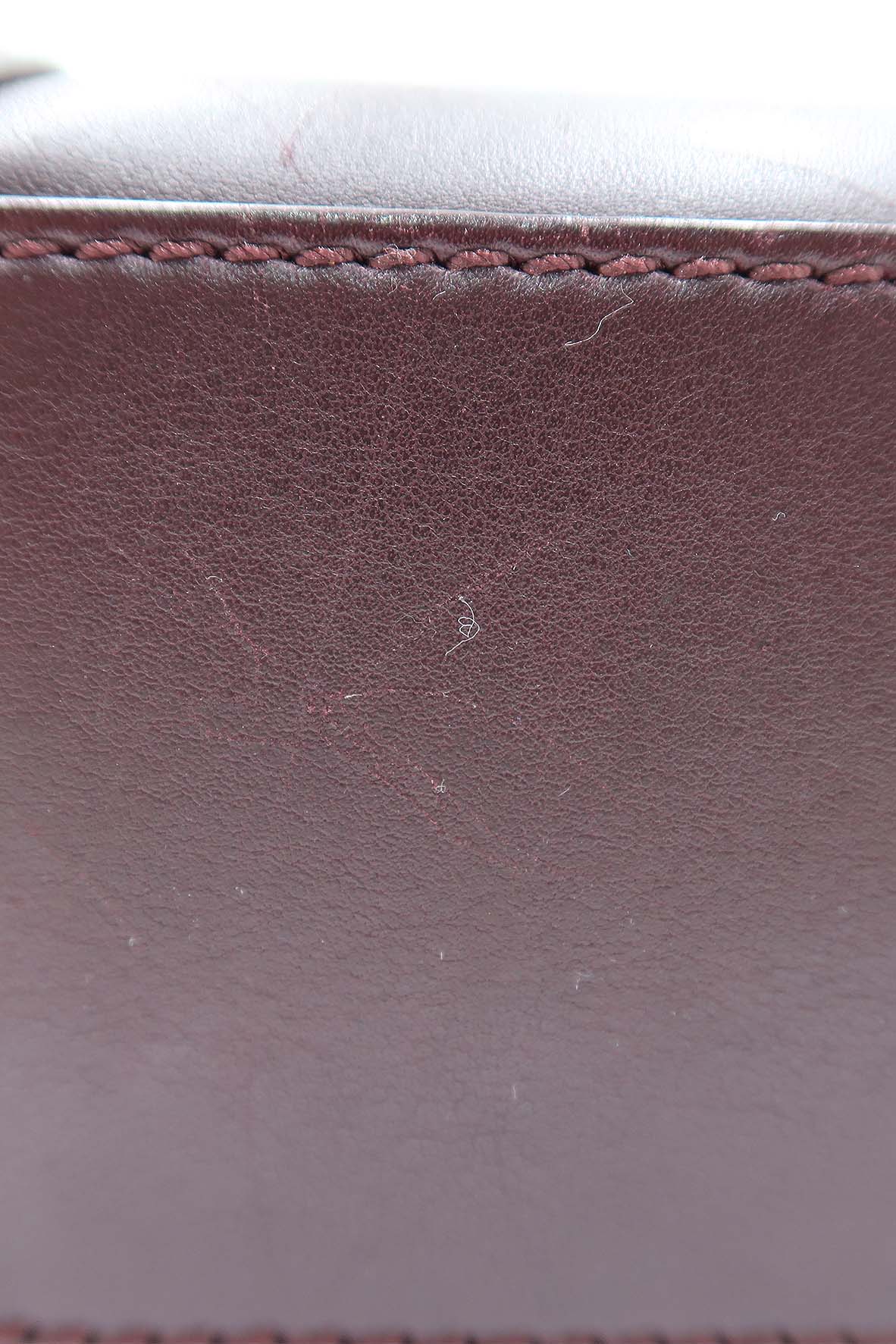 Nano Luggage Burgundy