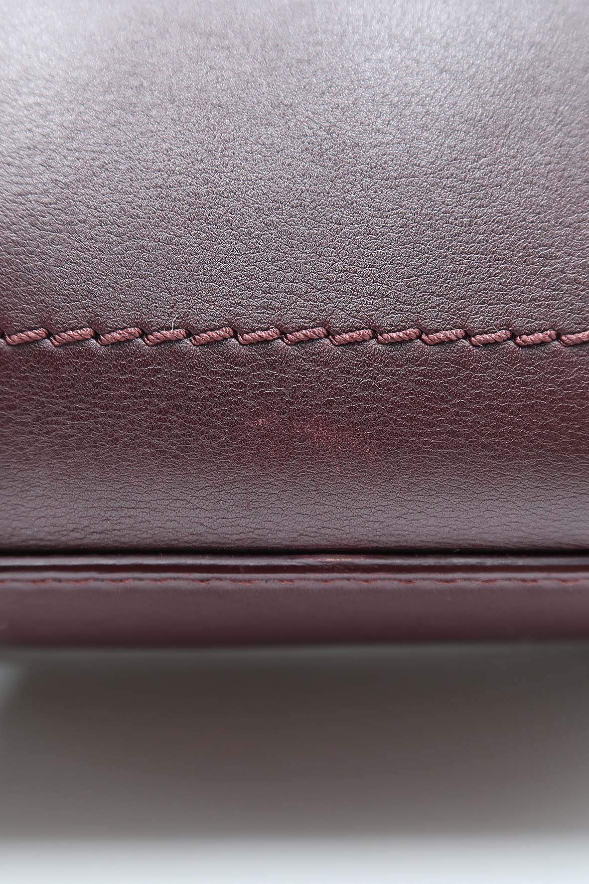 Nano Luggage Burgundy