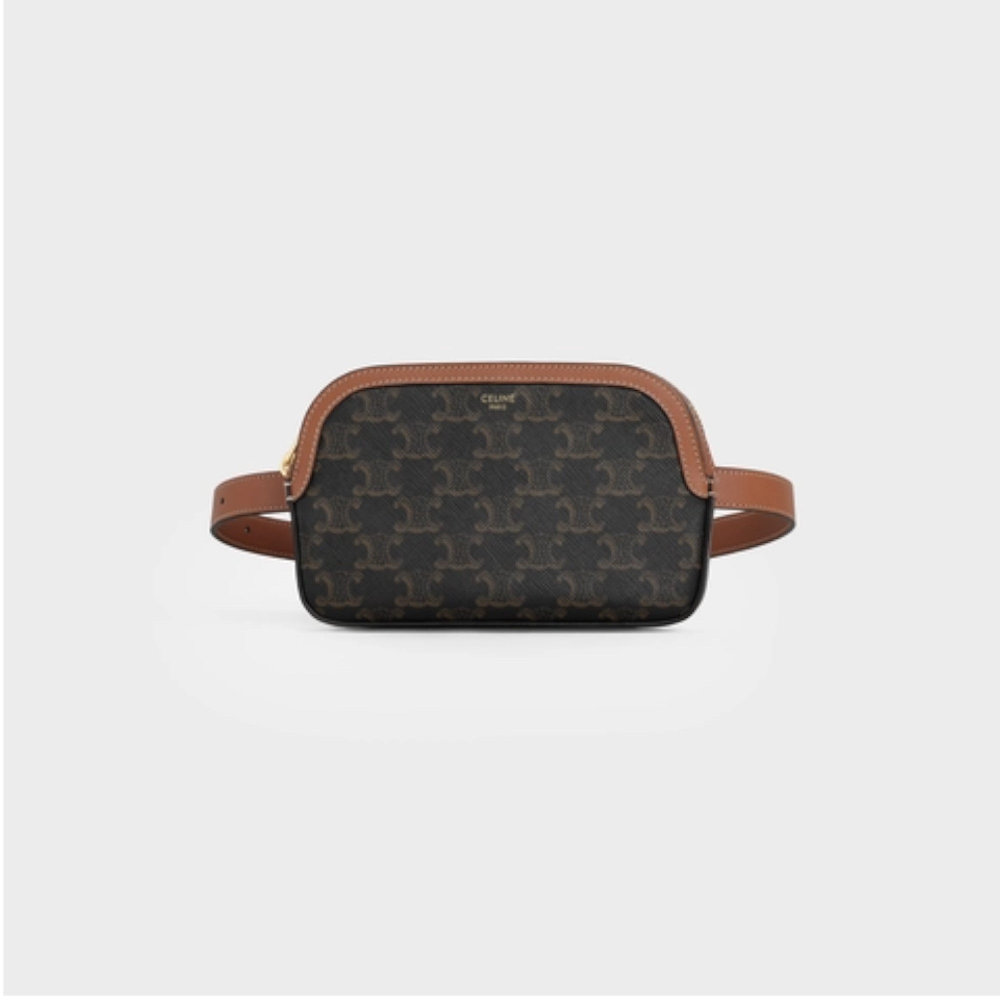 SMALL BELT BAG IN TRIOMPHE CANVAS