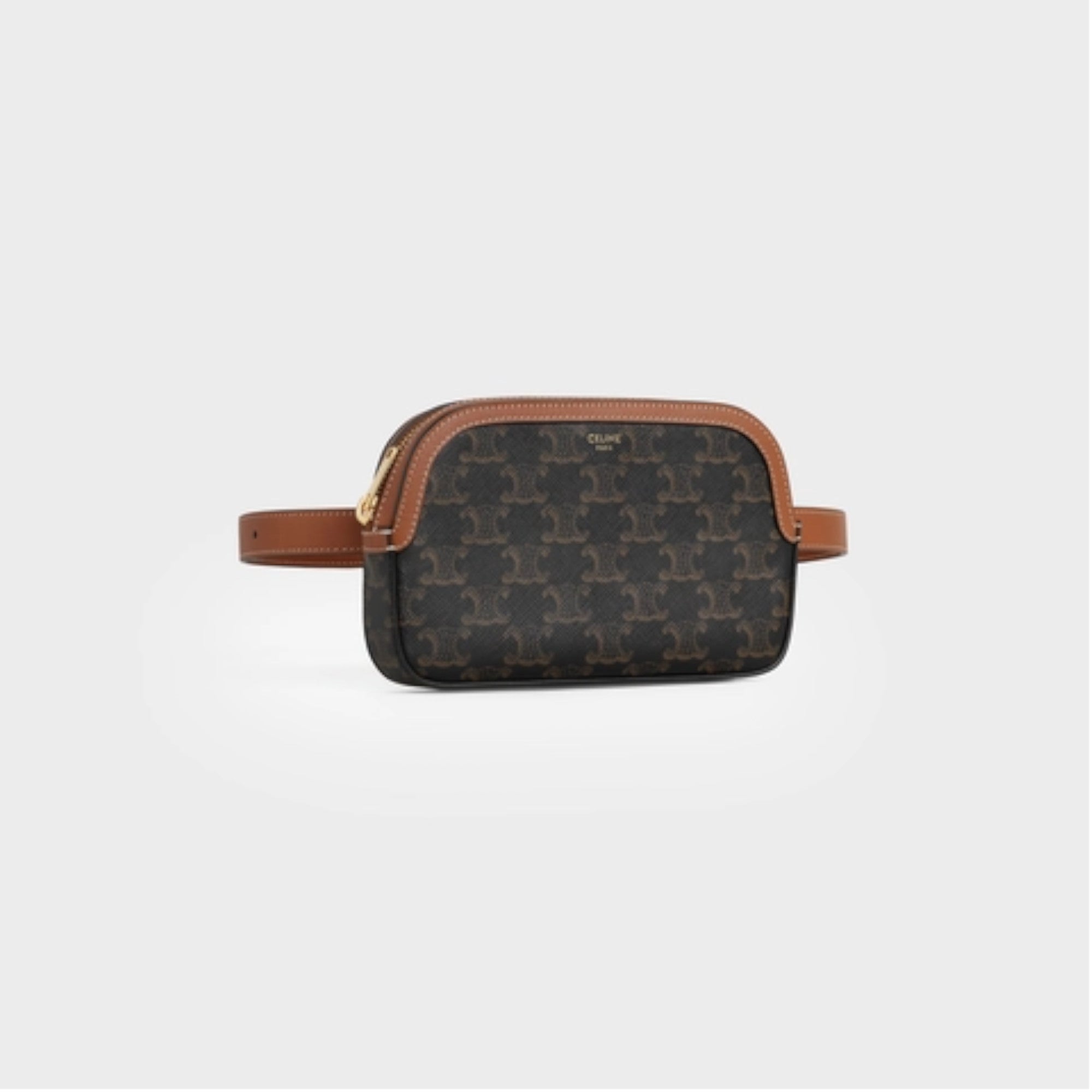 SMALL BELT BAG IN TRIOMPHE CANVAS