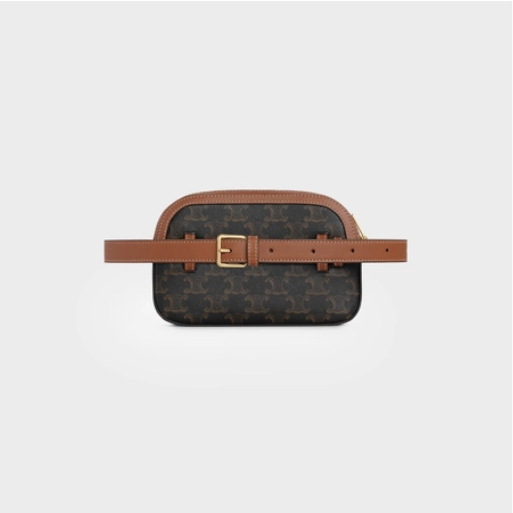SMALL BELT BAG IN TRIOMPHE CANVAS