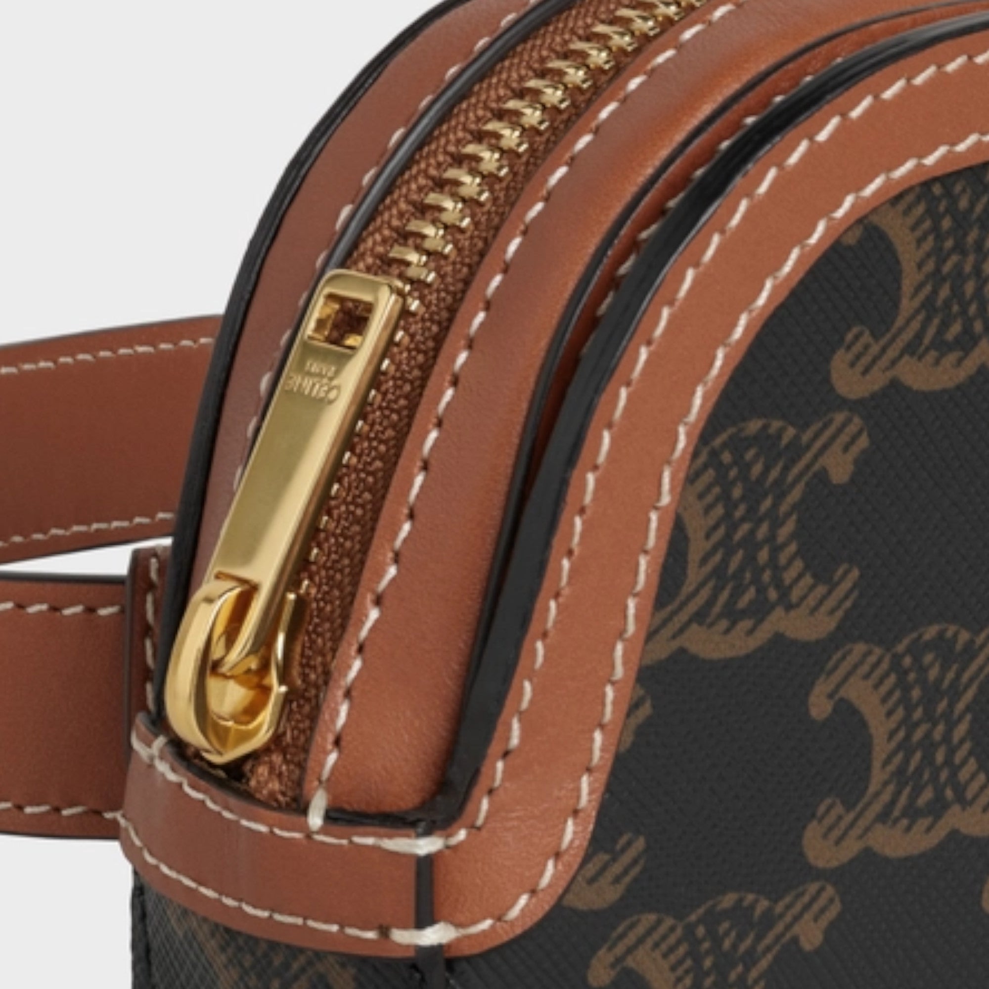 SMALL BELT BAG IN TRIOMPHE CANVAS