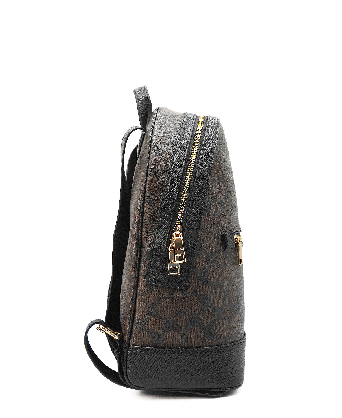 Kenley Backpack in Signature Canvas Brown