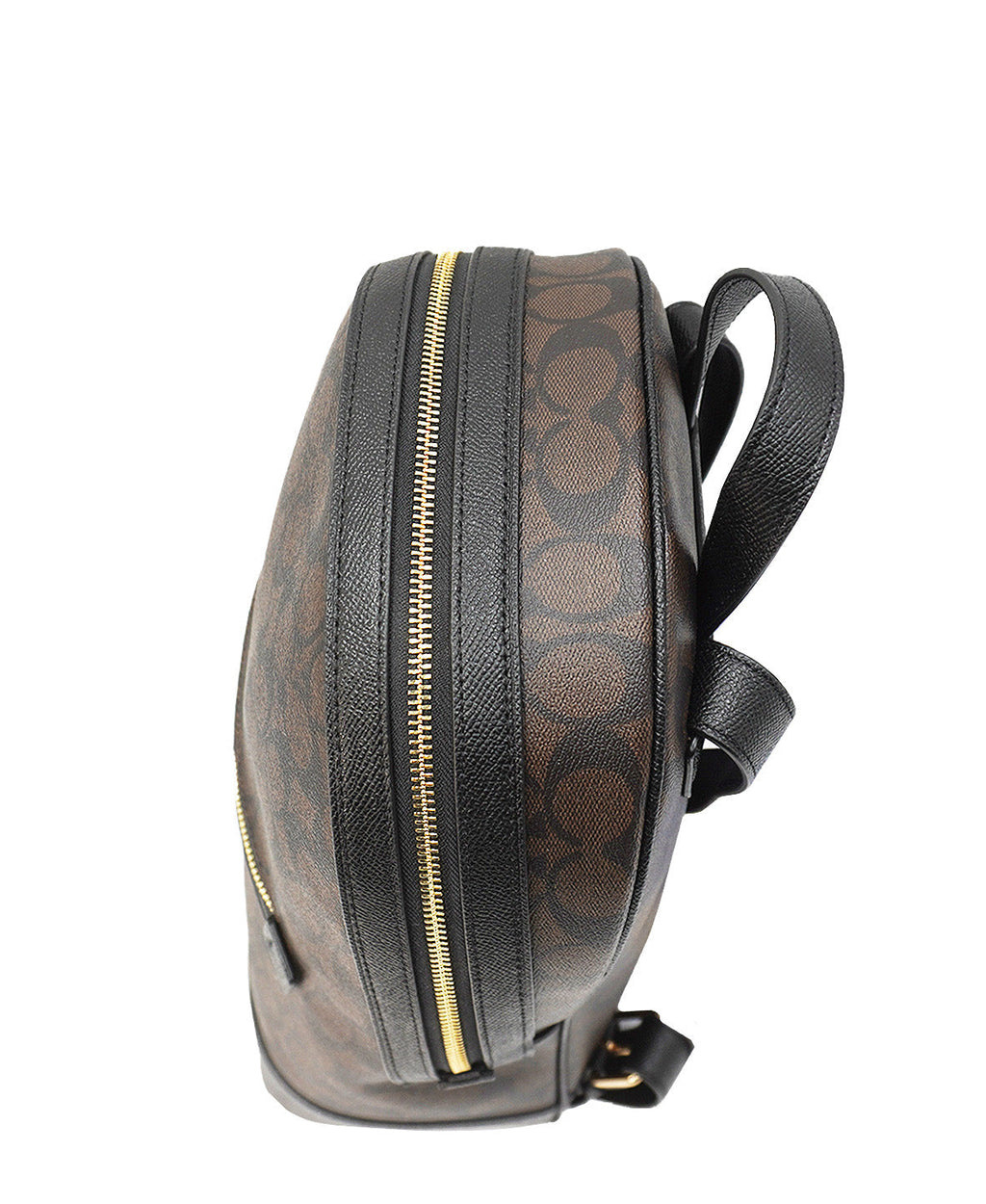 Kenley Backpack in Signature Canvas Brown
