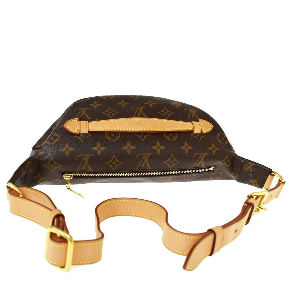 Louis Vuitton Monogram Backpack
