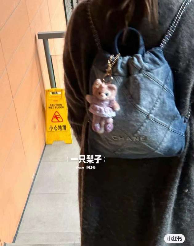 Satchel Bags - CHL Bags - 5924