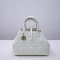 BLUSH BAGZ - Dior Bags - 145
