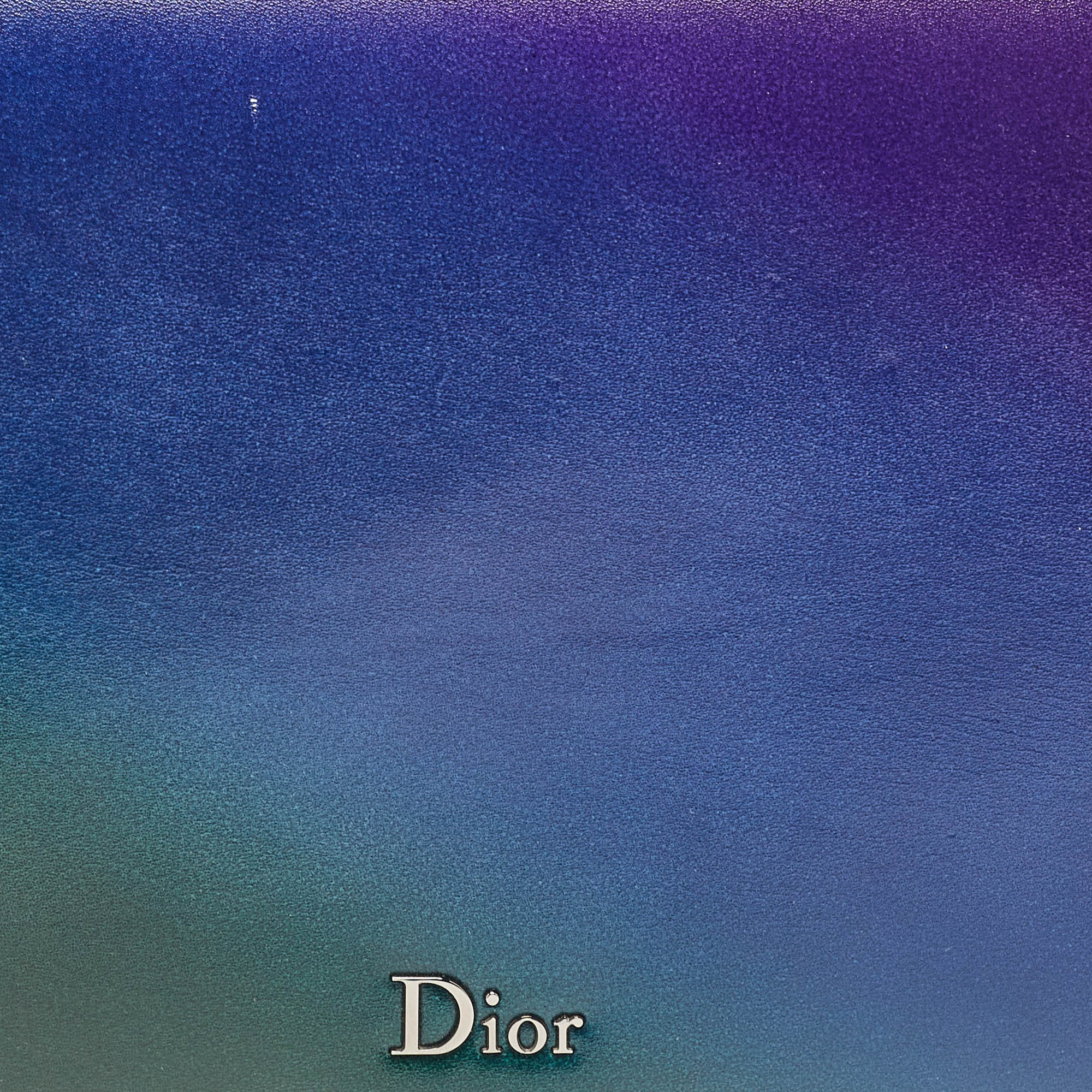Dior color Ombre Leather Flap Bag