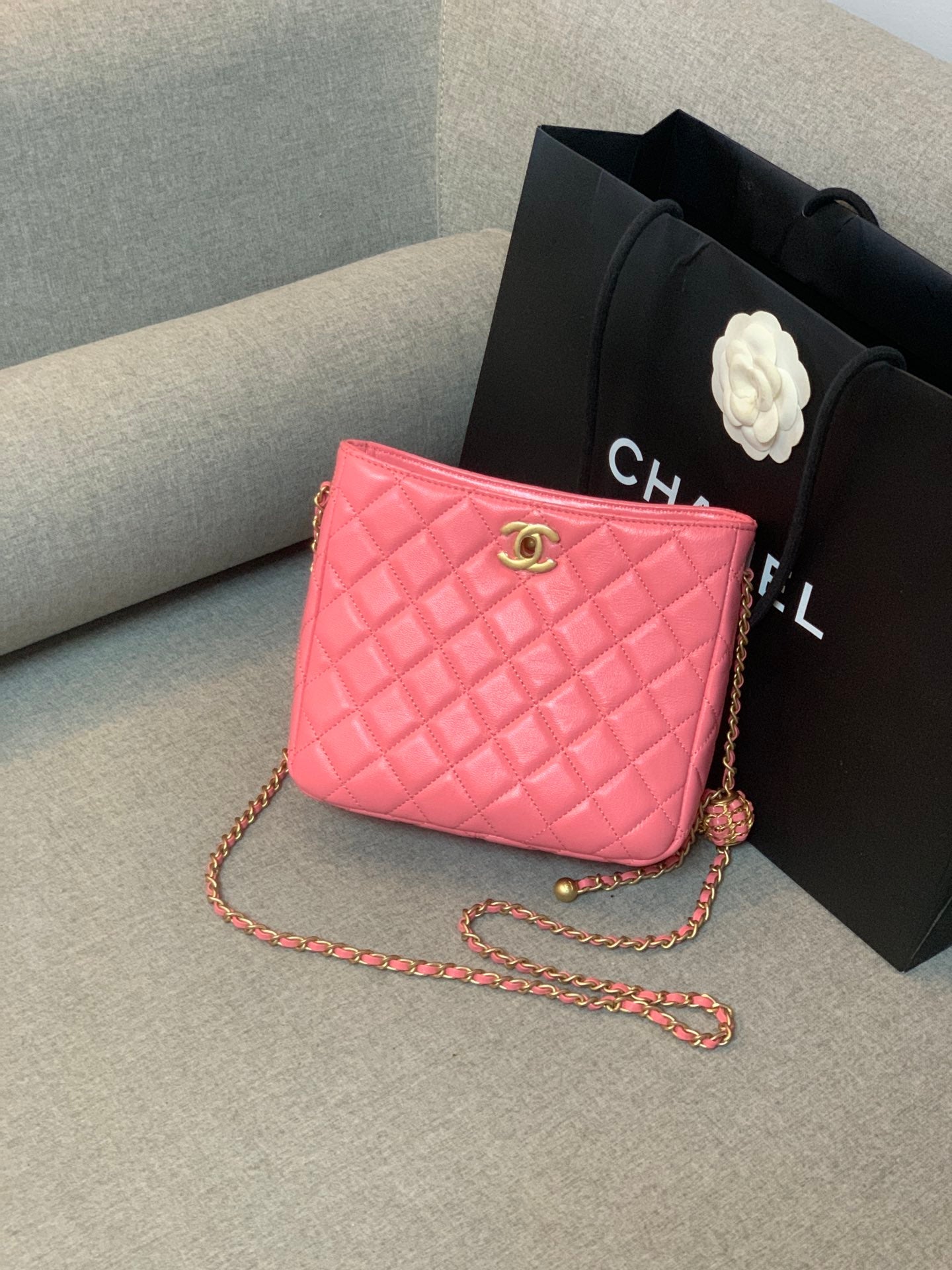 CHLHobo Handbag PiNike Bag For Women 16cm/6in