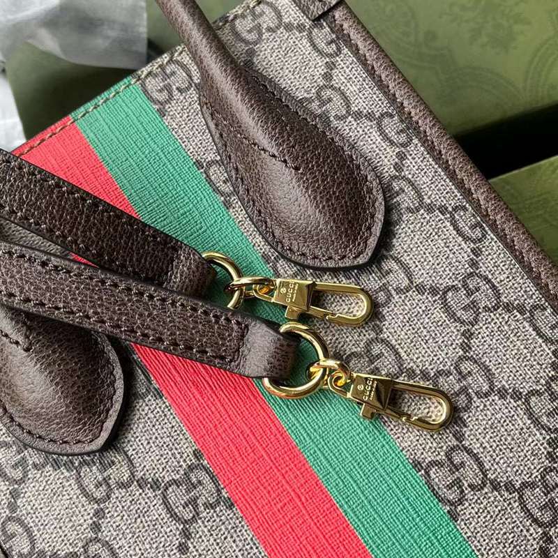 GUI2 Bags - Luxurious Bags  548