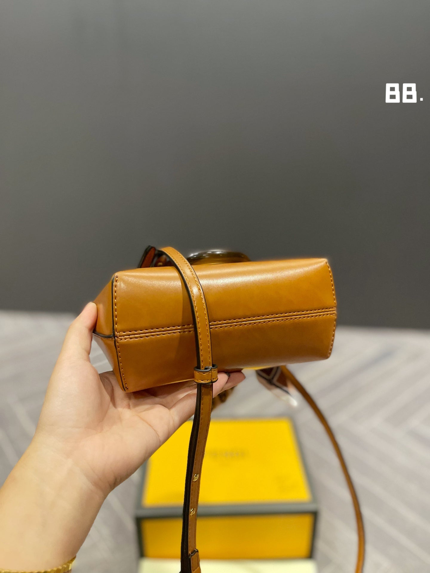 EN - New Lux Bags FEI 270