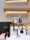 Satchel Bags - CCH Bags - 038