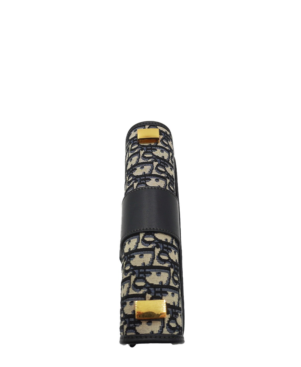 Oblique 30 Montaigne Shoulder Bag Multicolor