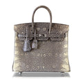 HermÃƒÆ’Ã‚Â¨s Birkin 25 Bag Ombre Lizard PHW
