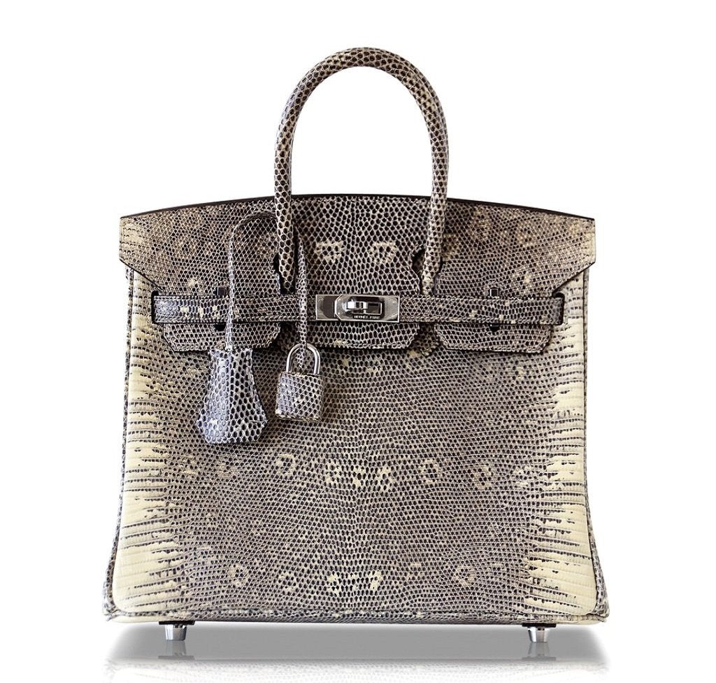 HermÃƒÆ’Ã‚Â¨s Birkin 25 Bag Ombre Lizard PHW