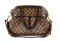 Louis Vuitto Trevi PM Damier Ebene Canvas Bag