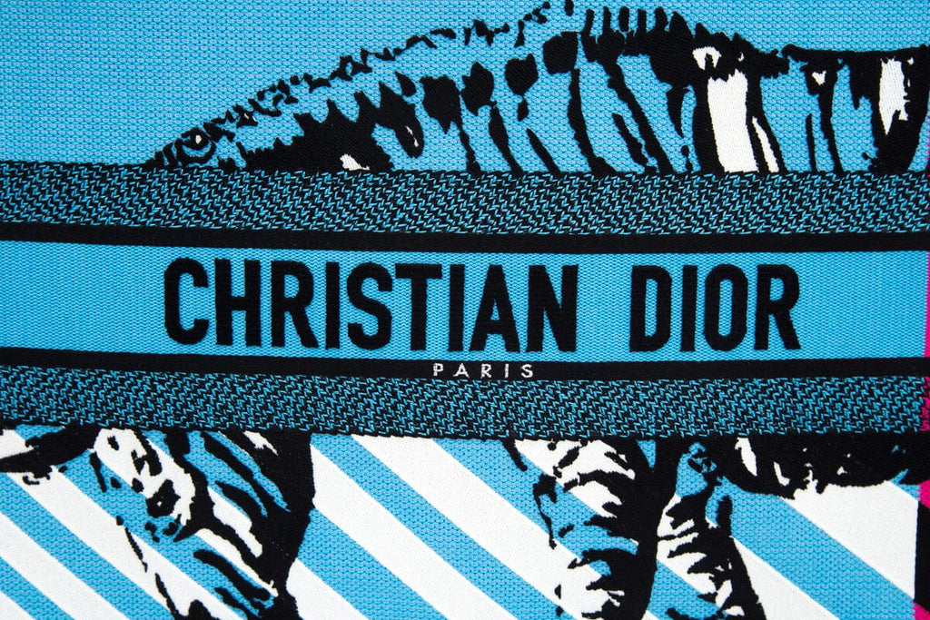 Christian Dior Pink &  Blue Zebra Printed Book Tote