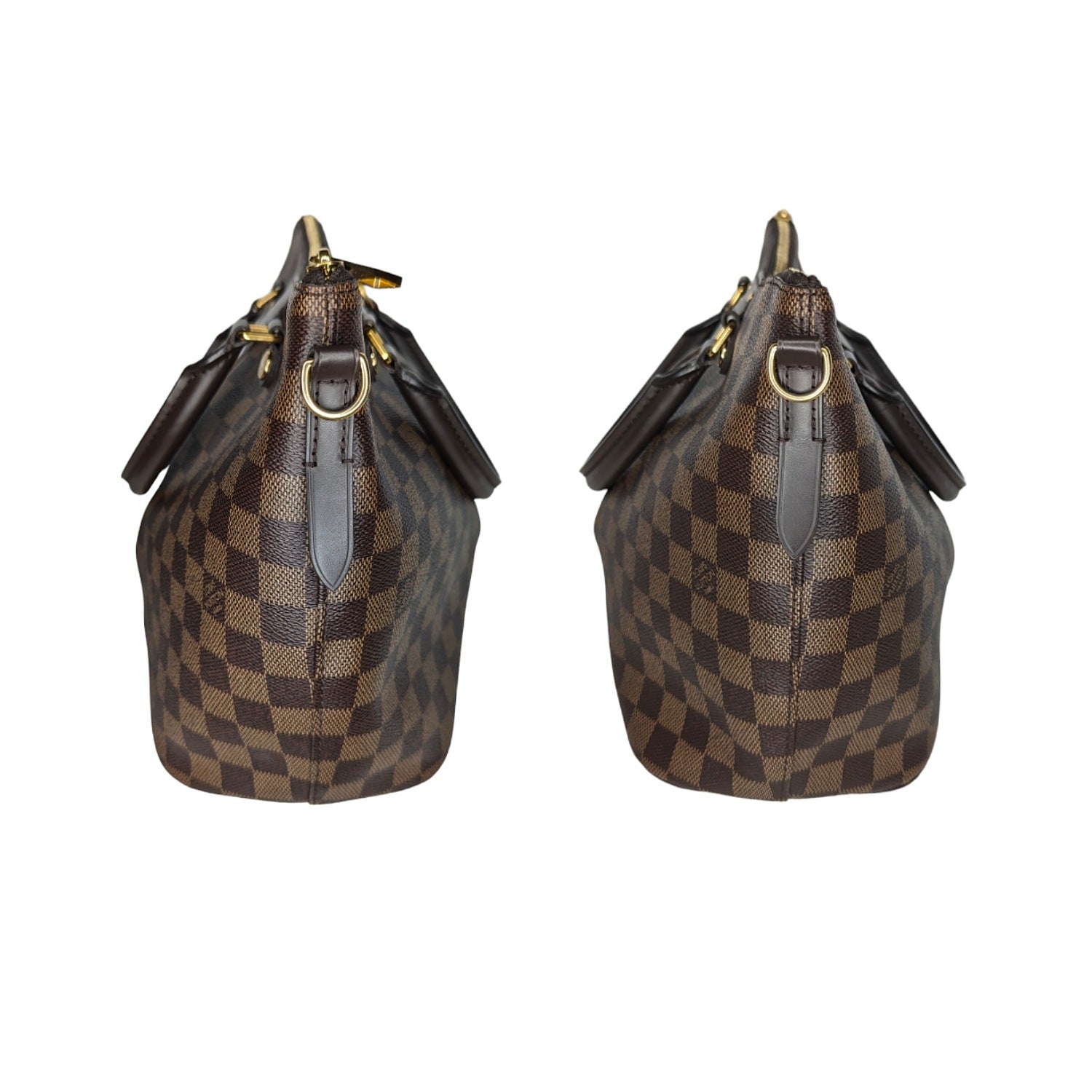 Louis Vuitton Damier Ebene Siena PM Bag