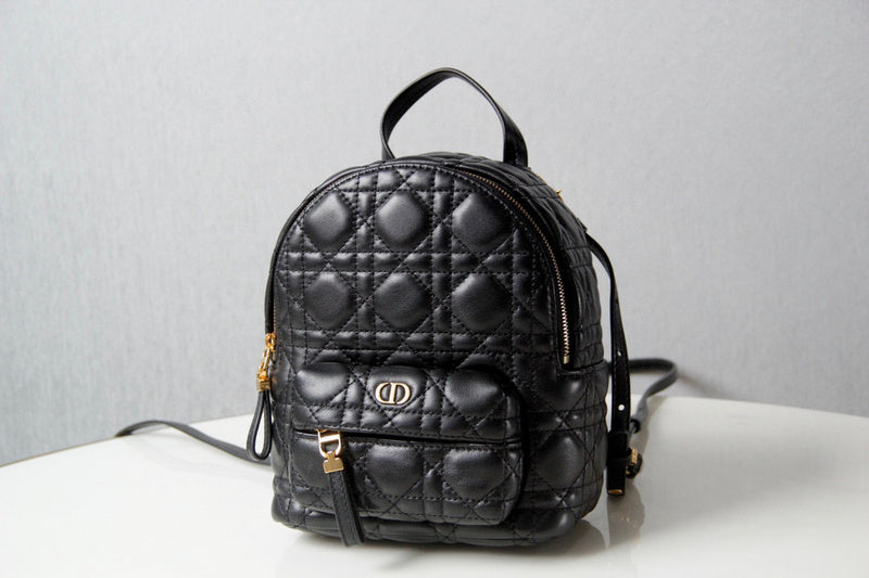 BLUSH BAGZ - Dior Bags - 1760