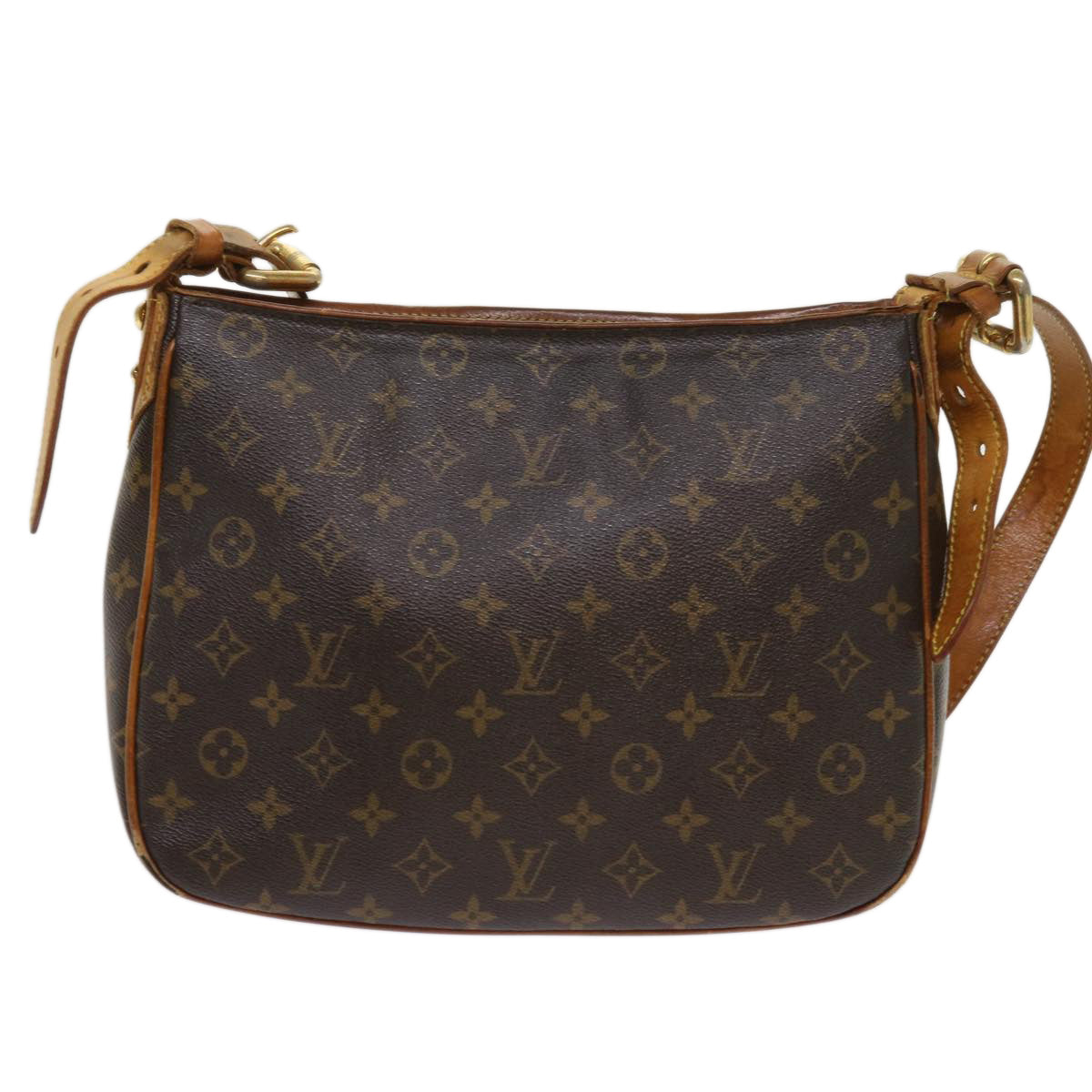 Louis Vuitton Monogram Hudson Gm Shoulder Bag