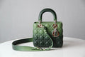 BLUSH BAGZ - Dior Bags - 1484