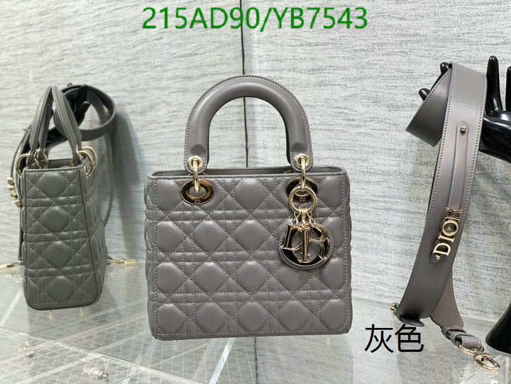 SAMCC - DOR Bags - 1427