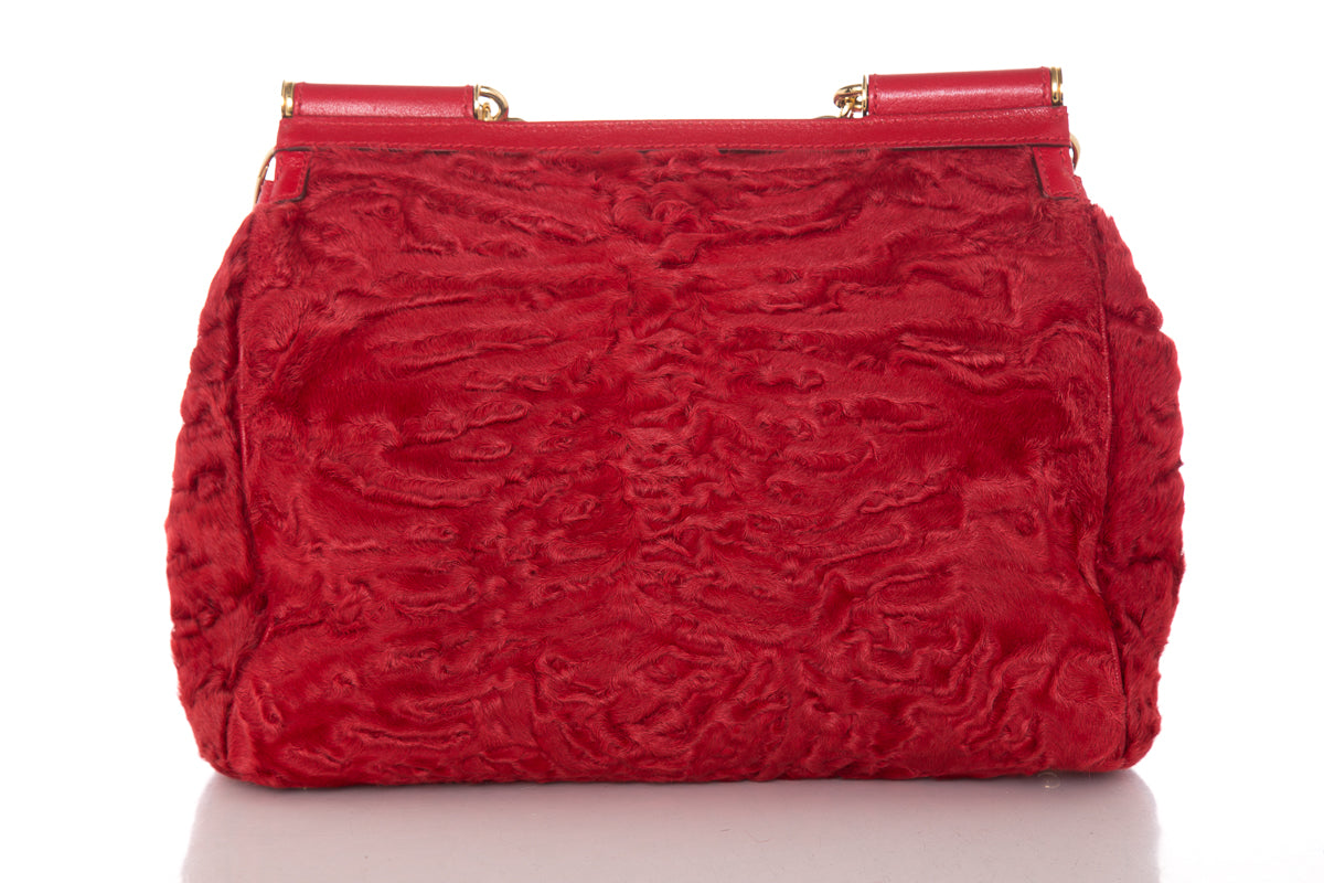 Dolce & Gabbana Red Fur & Leather Shoulder Bag