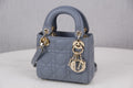 BLUSH BAGZ - Dior Bags - 237